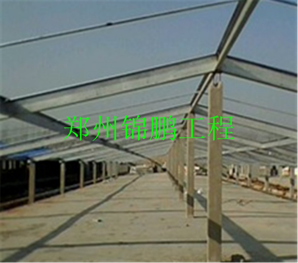 華英養(yǎng)殖廠現(xiàn)場(chǎng)